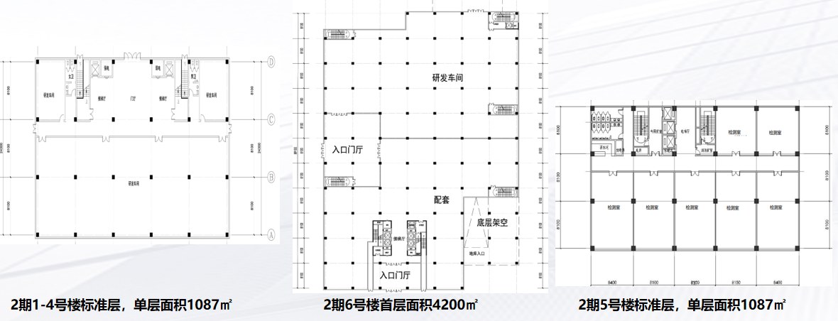 二期户型图